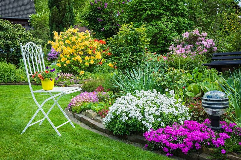 Fleråriga blommor för trädgården och trädgården - foto