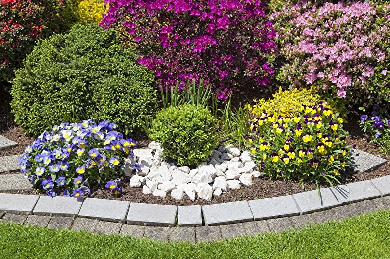 Mehrjährige Blumen für Garten und Garten - Foto