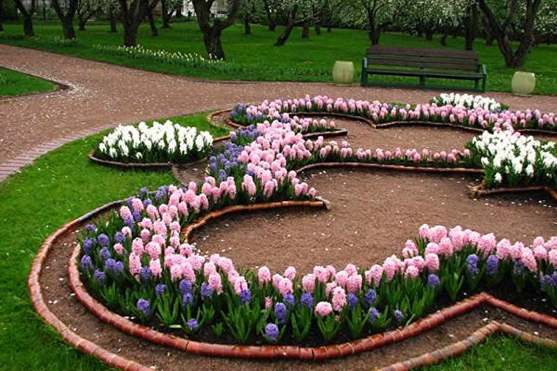 Flerårige blomster for hagen og hagen - foto