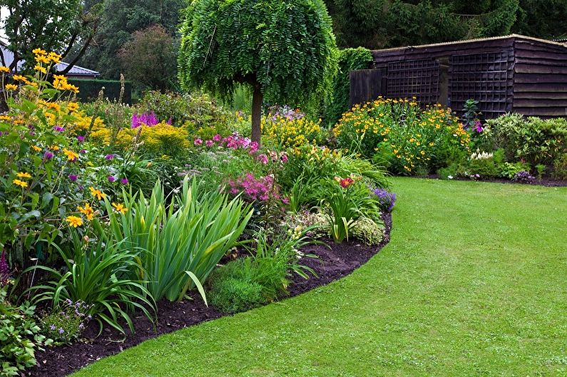 Mehrjährige Blumen für Garten und Garten - Foto