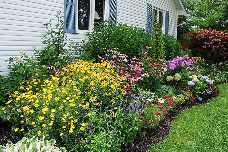 Flors perennes per al jardí i jardí - foto