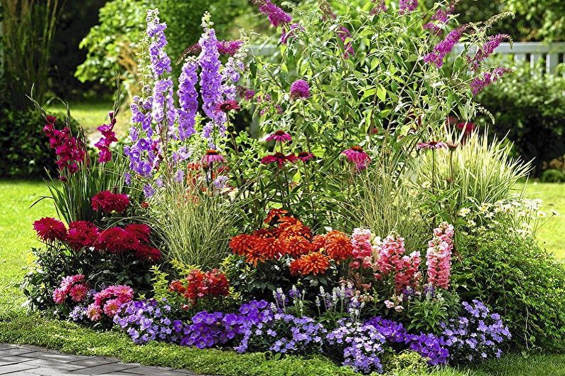 Flors perennes per al jardí i jardí - foto