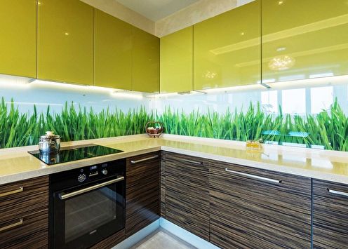 Skinali untuk dapur (70 foto): idea reka bentuk