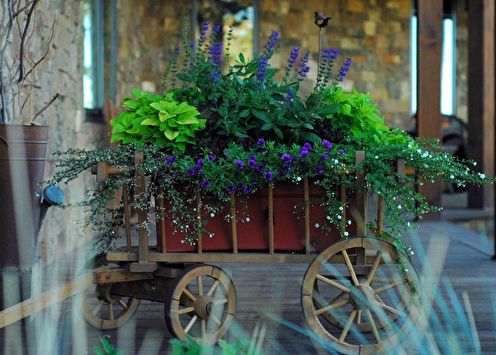 Vaso di fiori fai-da-te: 100 idee fotografiche