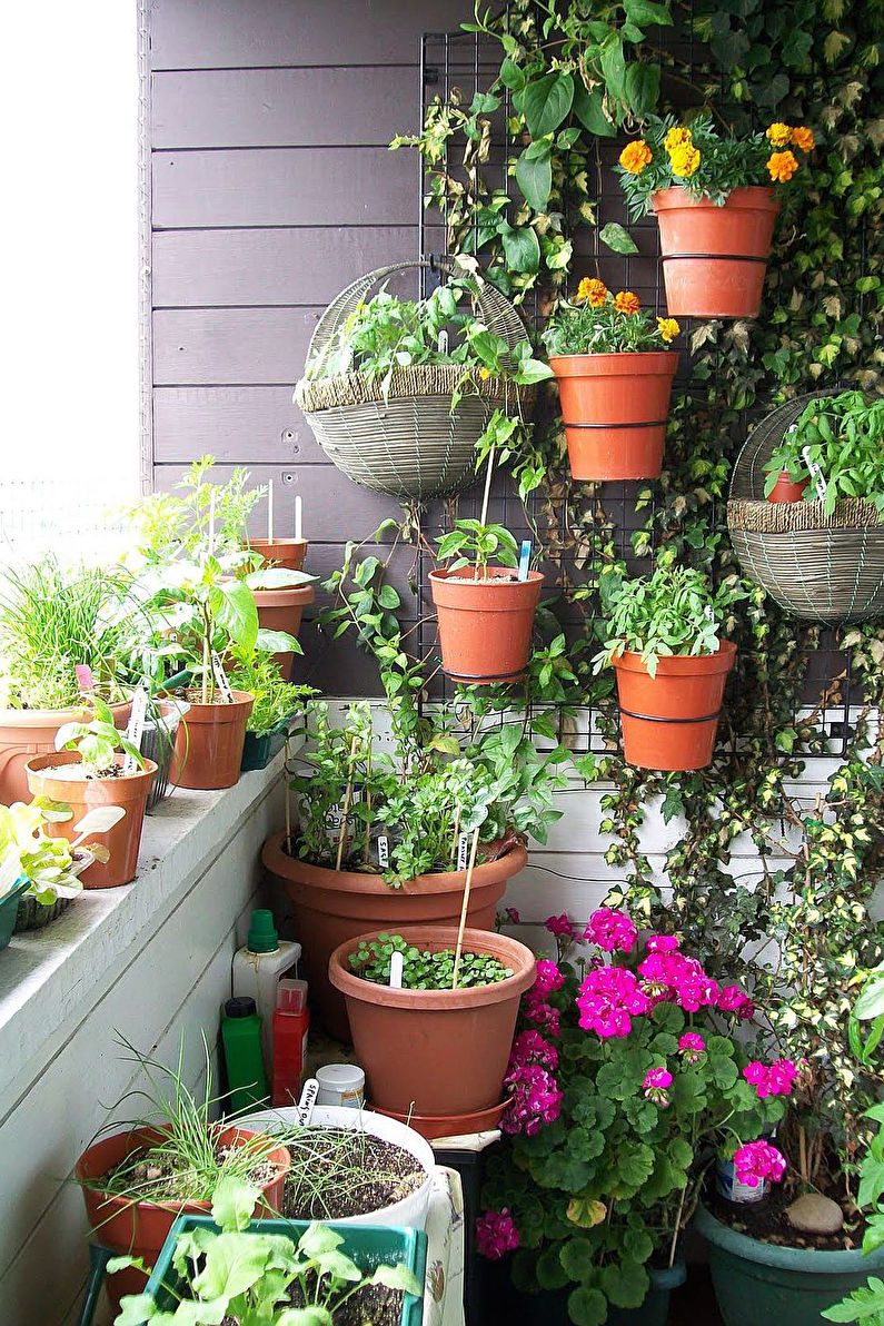 Wintertuin op het balkon - interieur