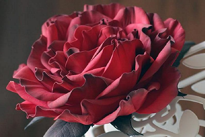 DIY do-it-yourself roses - larawan