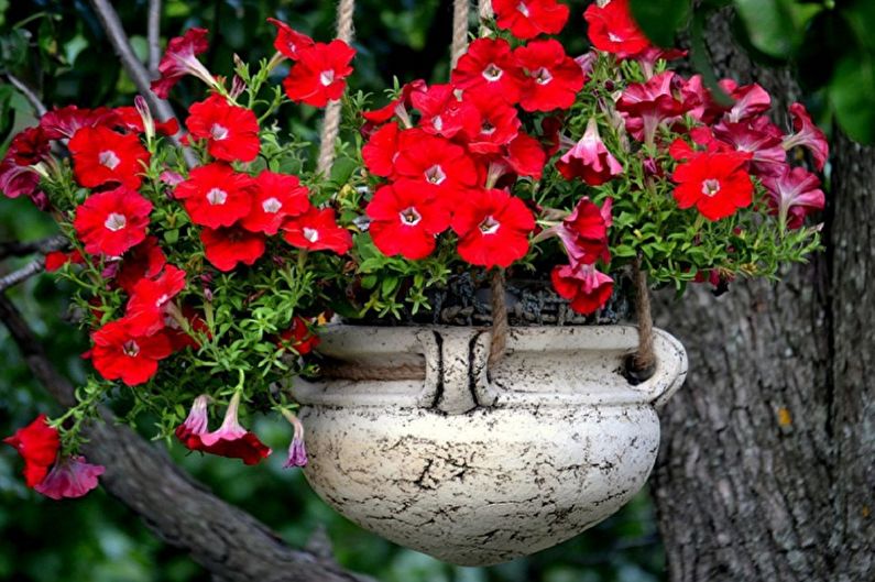 Pots de fleurs de la rue - photo