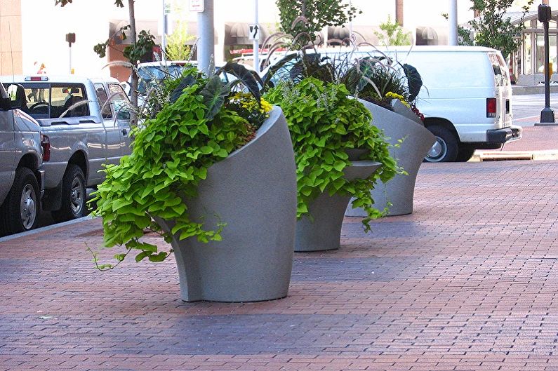 Pots de fleurs de la rue - photo