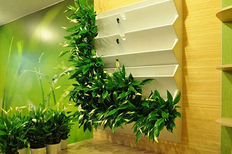 Vertical gardening in the interior - Methods of vertical gardening in the apartment