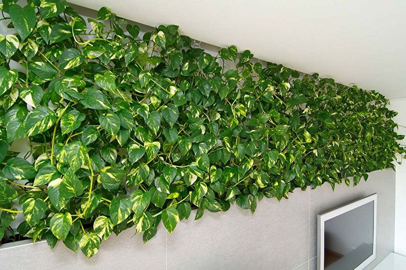 Jardinería vertical en el interior: qué plantas elegir para el interior