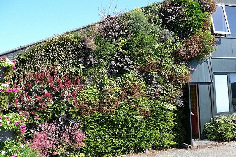 Vertikale Gartenarbeit - Fotoideen