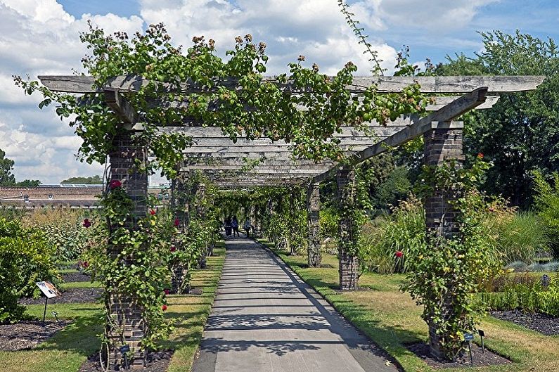 Vertikal trädgårdsskötsel - fotoidéer