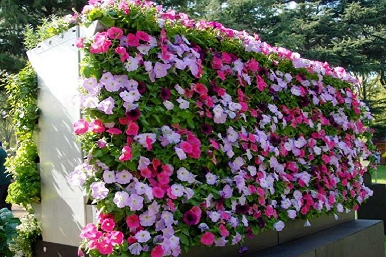 Vertical gardening - photo ideas