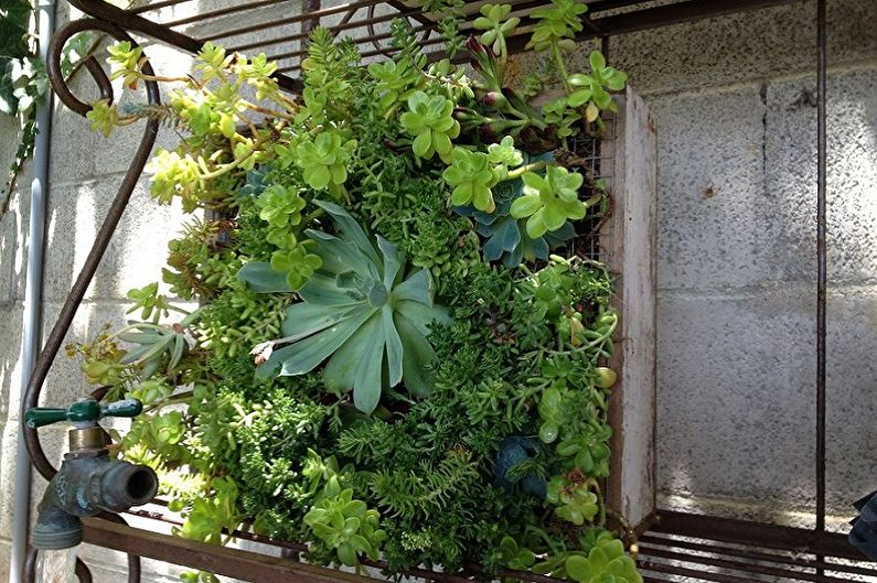 Vertikale Gartenarbeit - Fotoideen