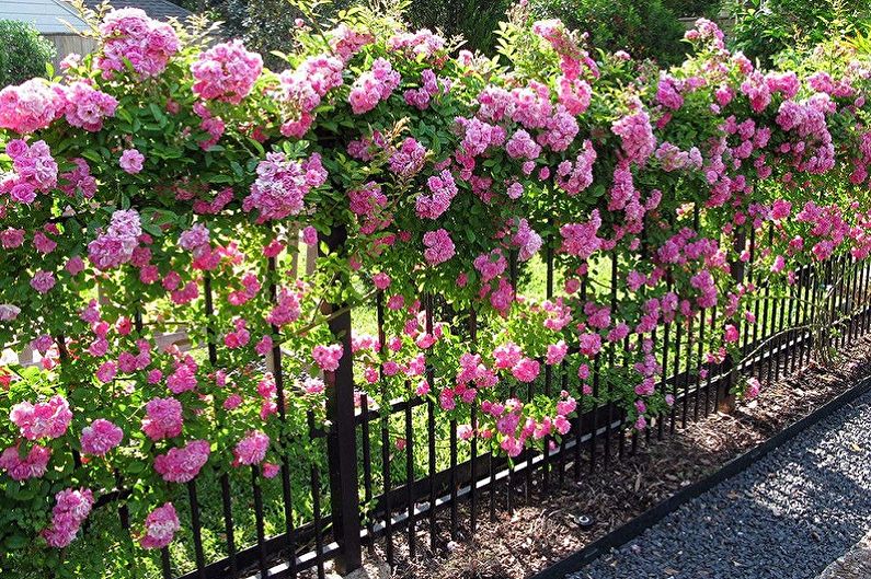 Idées de conception de clôture forgée - Décor de clôture de plante vivante