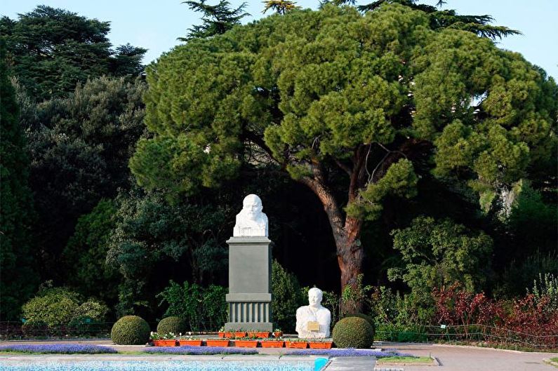 Mga Coniferous Tree para sa Landscaping - Mga Kulay