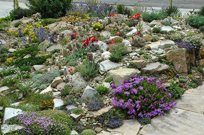 DIY Alpine slide - How to choose plants