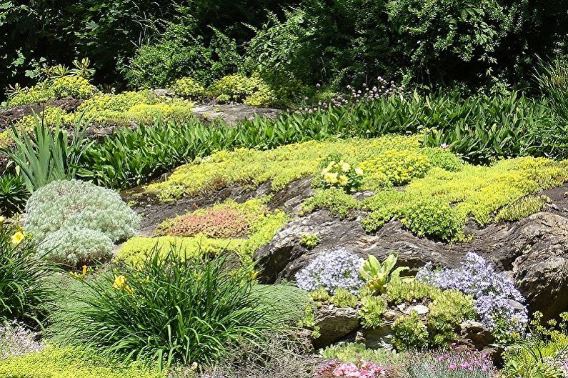 Escorregador alpino DIY - Tipos de jardins de pedra