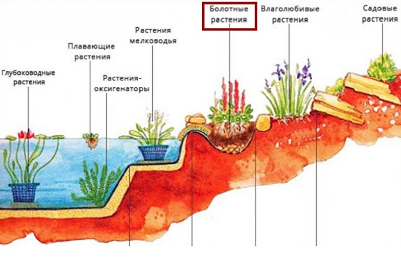 Направи си алпийска пързалка с водопад и езерце - Какво трябва да подготвиш