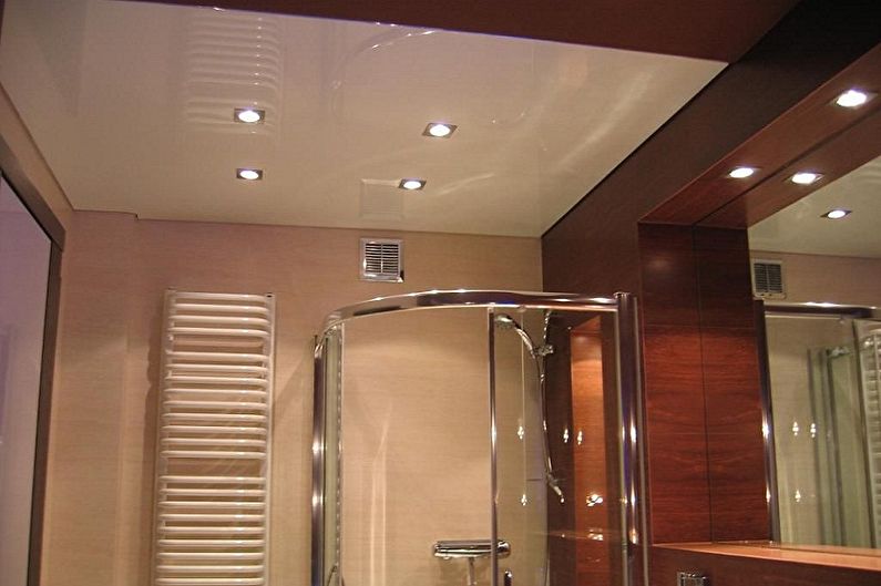 Bathroom design 2 sq.m. - ceiling decoration