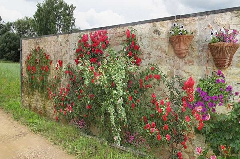 Trang trí cho một hàng rào cho một ngôi nhà riêng - ảnh