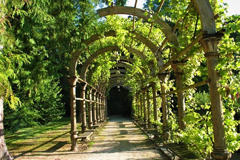 Vai trò của pergola trong thiết kế sân vườn