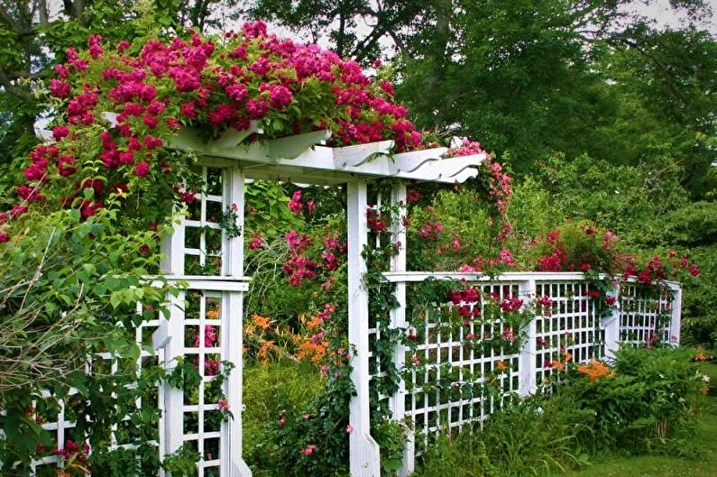 De rol van pergola bij tuinontwerp