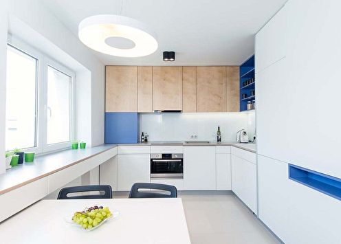 Kitchen design in the style of minimalism (100 photos)